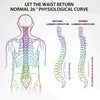 Back Posture and Decompression Trainer™