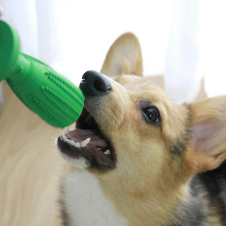 Pup ToothBrush™