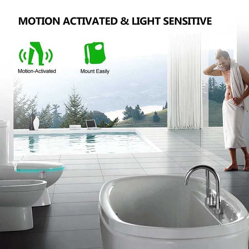 Motion Sensor Toilet Lights