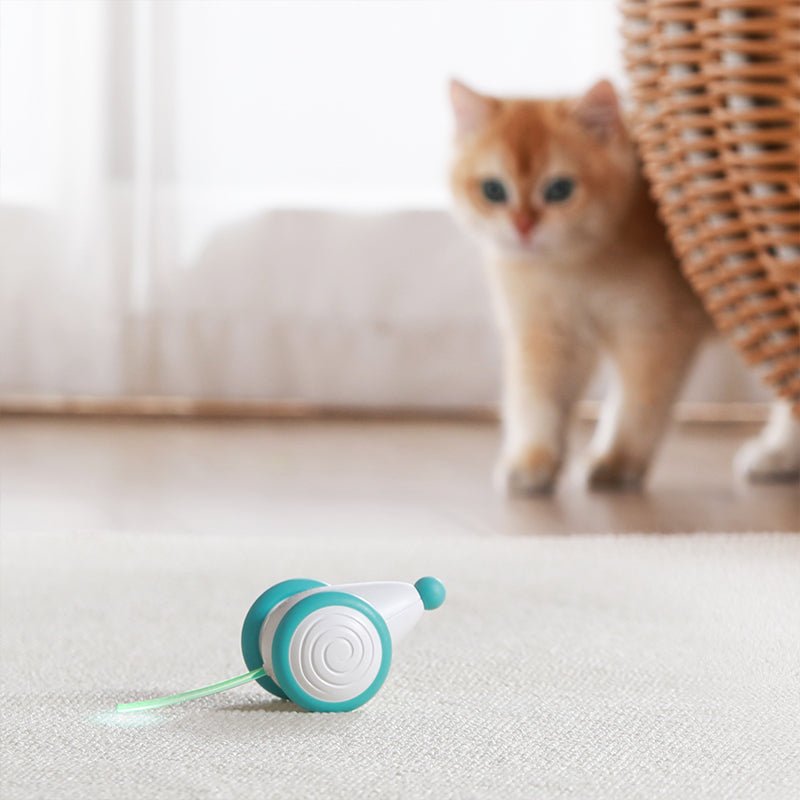 Zip Mouse™ Interactive Cat Toy
