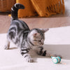 Zip Mouse™ Interactive Cat Toy